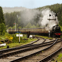 Buy canvas prints of The Train Arriving by Trevor Kersley RIP