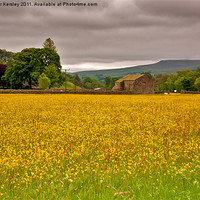 Buy canvas prints of Hay Meadow - Yorkshire Dales by Trevor Kersley RIP