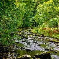 Buy canvas prints of River Twiss - Yorks Dales by Trevor Kersley RIP