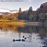 Buy canvas prints of By the Lakeside - Derwentwater by Trevor Kersley RIP