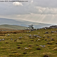 Buy canvas prints of Yorkshire Dales Views by Trevor Kersley RIP