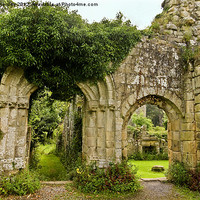 Buy canvas prints of Jervaulx Abbey Ruins by Trevor Kersley RIP
