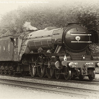 Buy canvas prints of Flying Scotsman - Steam Train by Trevor Kersley RIP