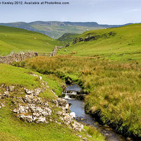 Buy canvas prints of The Dales by Trevor Kersley RIP