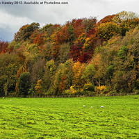 Buy canvas prints of Autumn Colours by Trevor Kersley RIP
