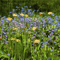 Buy canvas prints of Spring Flowers by Trevor Kersley RIP