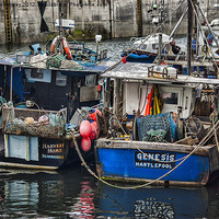 Buy canvas prints of Fishing Boats Seahouses by Trevor Kersley RIP