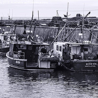 Buy canvas prints of Seahouses Harbour by Trevor Kersley RIP