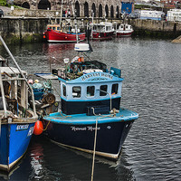 Buy canvas prints of The Harbour Seahouses by Trevor Kersley RIP