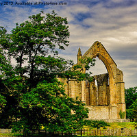 Buy canvas prints of Bolton Abbey by Trevor Kersley RIP