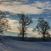 Buy canvas prints of Winter Sunrise by Trevor Kersley RIP