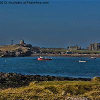 Buy canvas prints of Holy Island Harbour by Trevor Kersley RIP