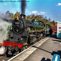 Buy canvas prints of The Green Knight by Trevor Kersley RIP