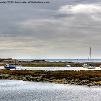 Buy canvas prints of The Outer Harbour Seahouses by Trevor Kersley RIP