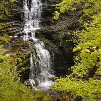 Buy canvas prints of Scaleber Force Yorkshire Dales by Trevor Kersley RIP