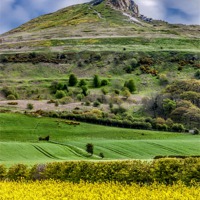 Buy canvas prints of Roseberry Topping by Trevor Kersley RIP