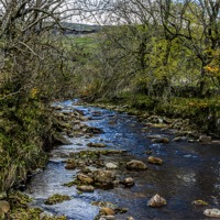 Buy canvas prints of River Swale Yorkshire Dales by Trevor Kersley RIP
