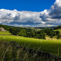Buy canvas prints of Barden Tower by Trevor Kersley RIP