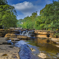 Buy canvas prints of Along The River Swale by Trevor Kersley RIP