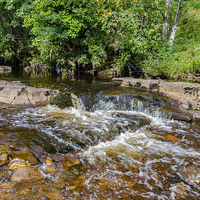 Buy canvas prints of The River Swale. by Trevor Kersley RIP