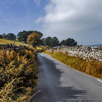 Buy canvas prints of Country Lane Yorks Dales by Trevor Kersley RIP
