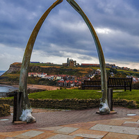 Buy canvas prints of Whitby Whale Bones by Trevor Kersley RIP