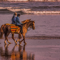 Buy canvas prints of Morning Ride by Trevor Kersley RIP
