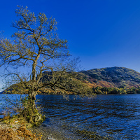 Buy canvas prints of Ullswater Autumn by Trevor Kersley RIP