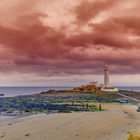 Buy canvas prints of St Marys Lighthouse by Trevor Kersley RIP