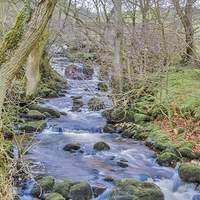 Buy canvas prints of The Beck by Trevor Kersley RIP