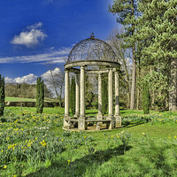 Buy canvas prints of Spring in the Arboretum by Trevor Kersley RIP