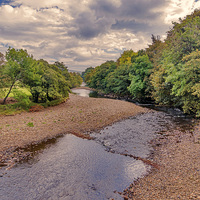 Buy canvas prints of River Swale in Autumn by Trevor Kersley RIP