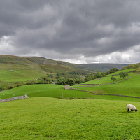 Buy canvas prints of Yorkshire Dales View by Trevor Kersley RIP