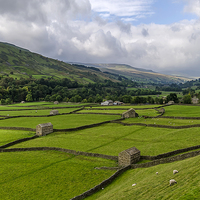 Buy canvas prints of Swaledale Stone Barns by Trevor Kersley RIP