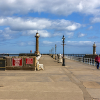 Buy canvas prints of Whitby Harbour Walkway by Trevor Kersley RIP