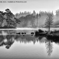 Buy canvas prints of Early Light At Tarn Hows by Jason Connolly