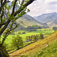 Buy canvas prints of Grisedale, Lake District, Cumbria.  by Jason Connolly