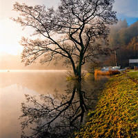 Buy canvas prints of Tree Reflections, Ullswater by Jason Connolly