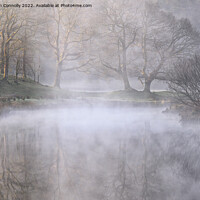 Buy canvas prints of Elterwater Mist. by Jason Connolly