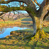 Buy canvas prints of The River Brathay by Jason Connolly