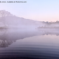 Buy canvas prints of Mist And Serenity, Elterwater by Jason Connolly