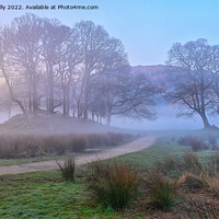 Buy canvas prints of Misty Morning Trees At Elterwater by Jason Connolly