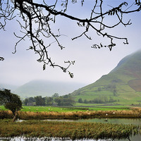 Buy canvas prints of Brotherswater And Hartsop Dodd by Jason Connolly