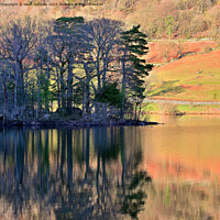 Buy canvas prints of Trees and reflections, Rydalwater by Jason Connolly
