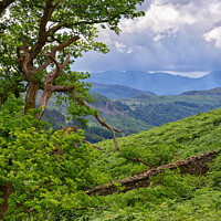 Buy canvas prints of Lake District Views. by Jason Connolly