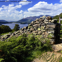 Buy canvas prints of Derwentwater Views by Jason Connolly