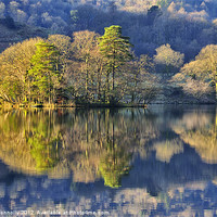 Buy canvas prints of Rydalwater Reflections by Jason Connolly