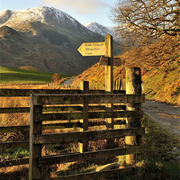 Buy canvas prints of Little Langdale Signpost by Jason Connolly