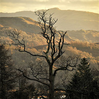 Buy canvas prints of Cumbrian Colour by Jason Connolly