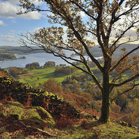 Buy canvas prints of Views to windermere by Jason Connolly